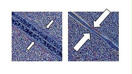 影响焊接层厚度的因素及影响规律