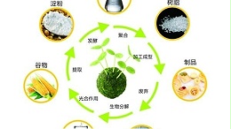 与声峰超声波厂家一起聊聊生物塑料的基本知识（一）
