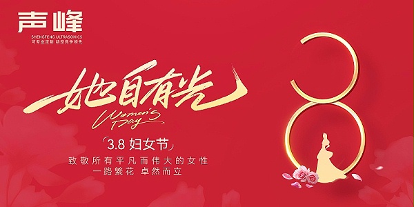 声峰超声波-横板