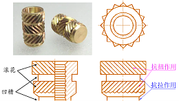 螺母的关键特征有哪些？