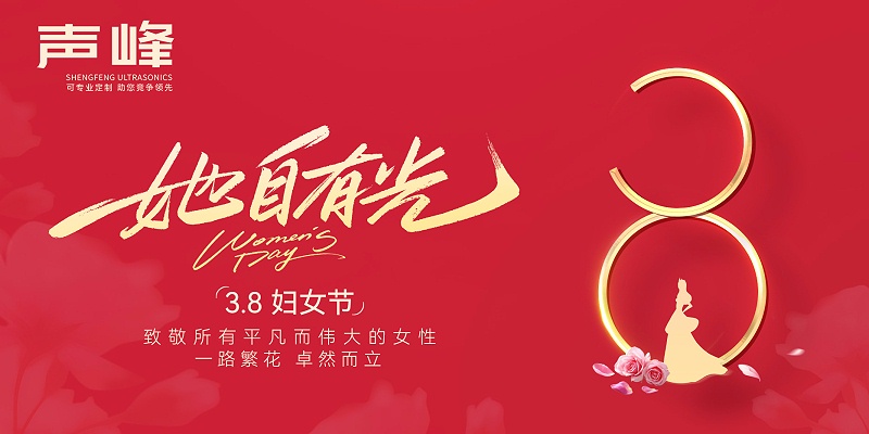 声峰超声波-横板